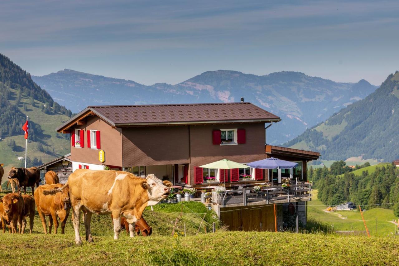 The Swiss Paradise 2 Apartment With Garden, Whirlpool, And Mountain Panorama Wirzweli Bagian luar foto